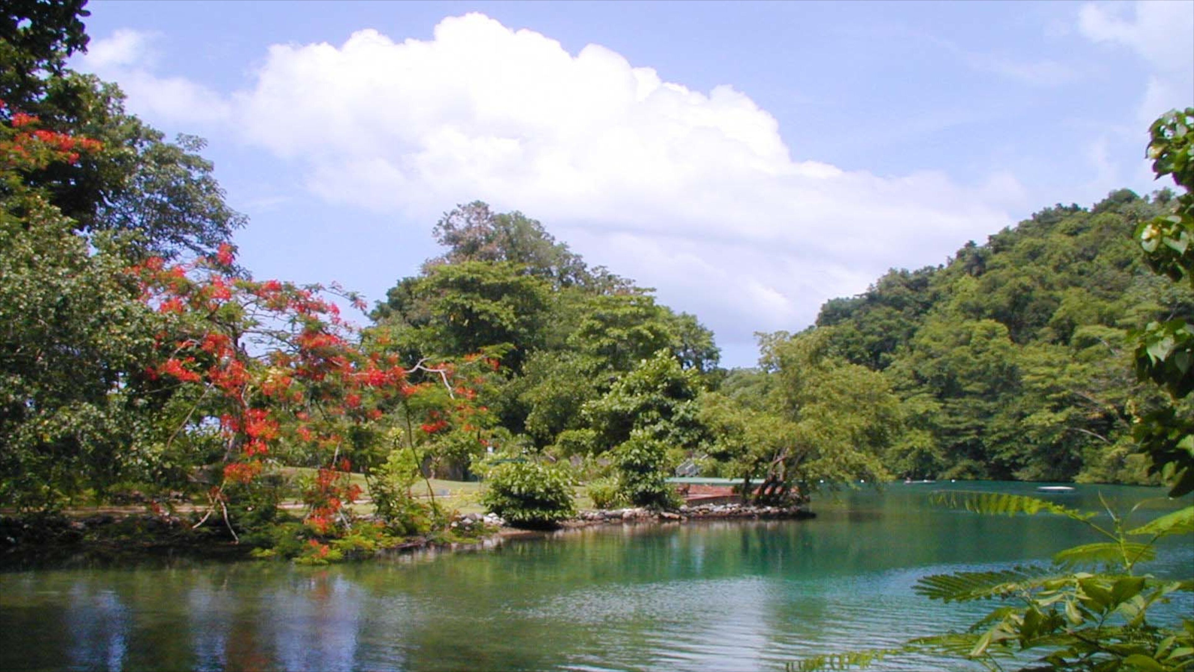 Blue Lagoon featuring a lake or waterhole and landscape views