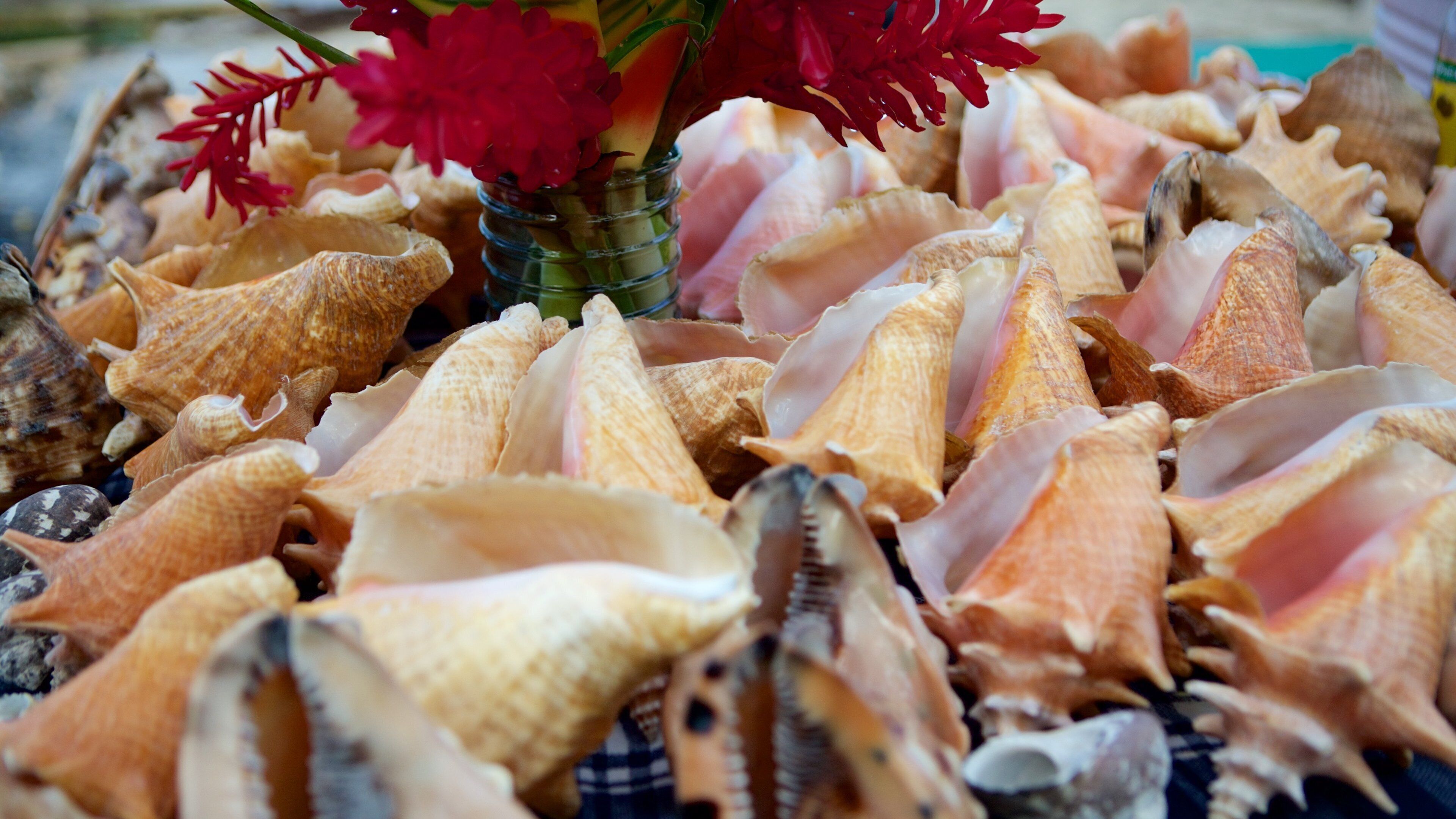 Blue Lagoon showing shopping