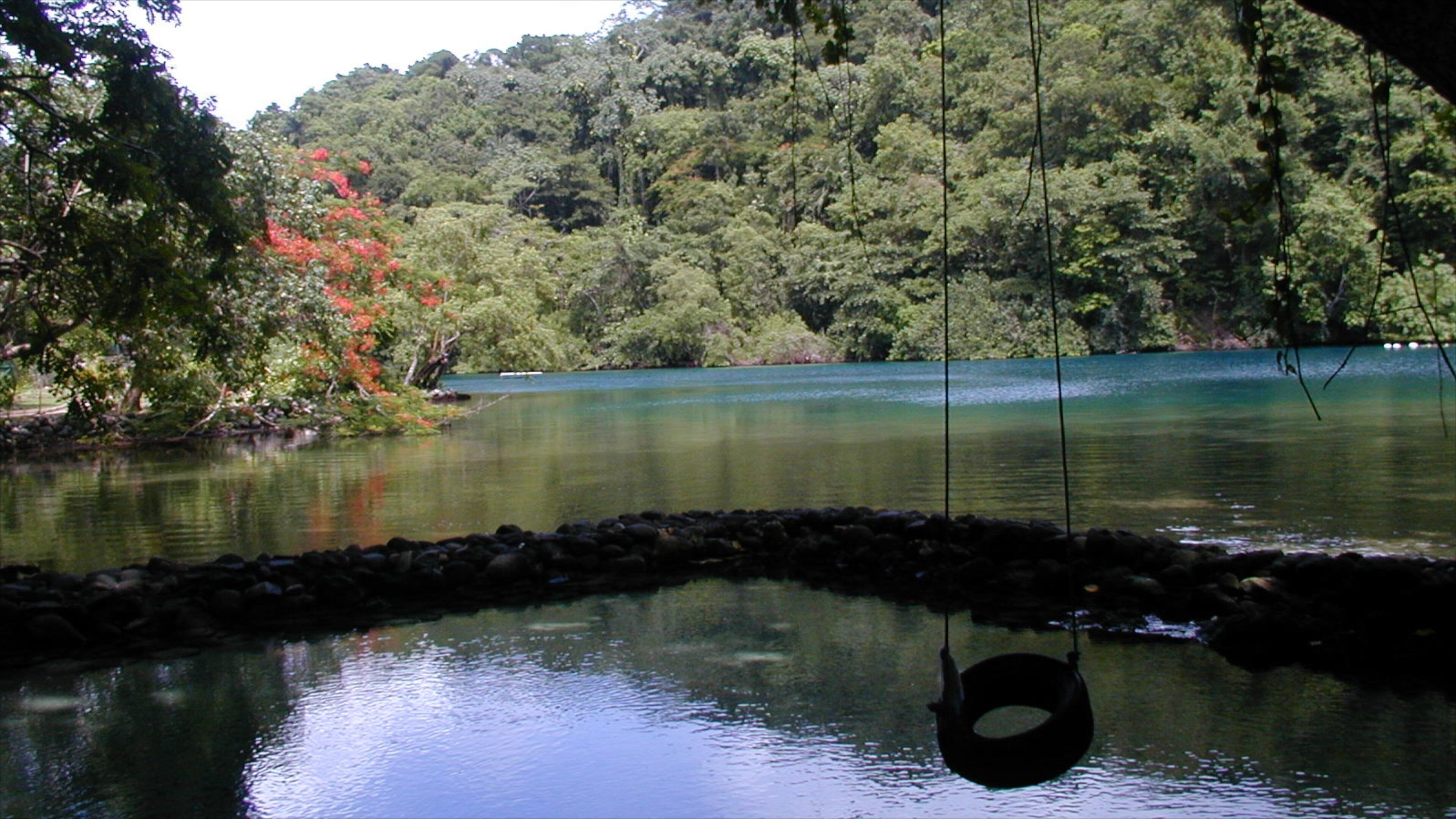 Blue Lagoon showing general coastal views and forest scenes