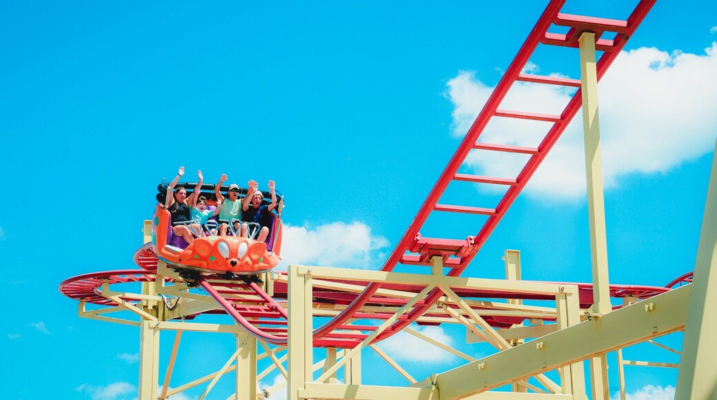 The Park at OWA featuring rides as well as a small group of people