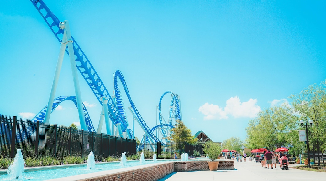 The Park at OWA featuring a fountain and rides