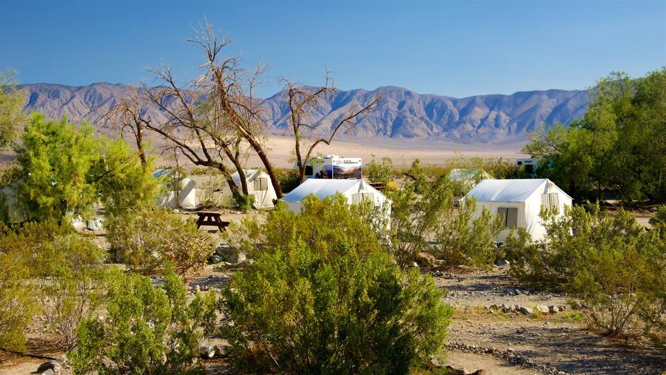 A desert campsite with tents, a picnic table, and a large RV in the background.