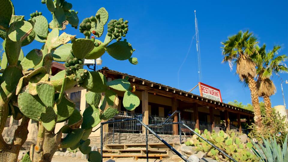 A building with a sign that reads "REST AURANT" and a cactus in the foreground.
