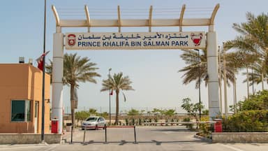 الحد