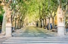 Spain Majorca, old town city center Palma, view of the alley Passeig de la Rambla.; Shutterstock ID 600436607
