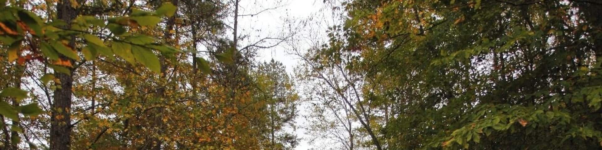 a small state park in eastern Kentucky. There are four primitive camp sites next to the lake. If you tent camp, I would take one if you can. they have an absolutely beautiful view of the lake, are away from the noisy RV campers, but are within a short walk of a running toilet!!!!