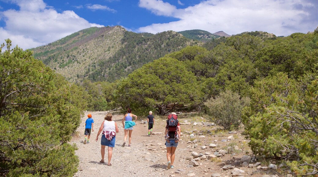 Sangre de Cristo Mountains showing hiking or walking and tranquil scenes as well as a small group of people