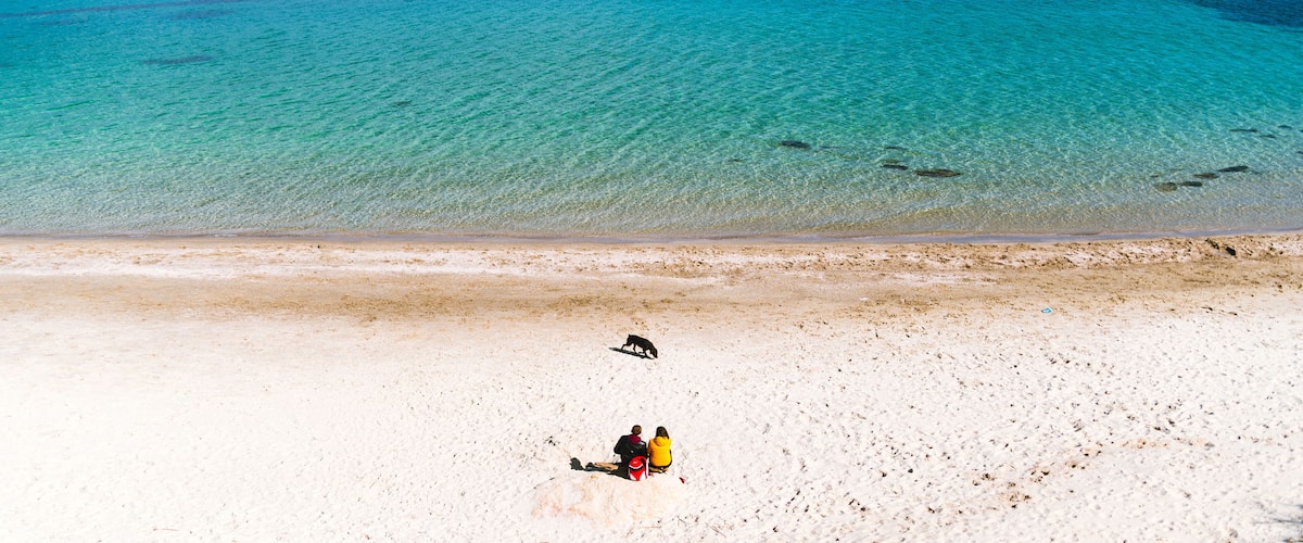 A beach with clear turquoise water, a sandy shore, and a dog near two people sitting on the sand.