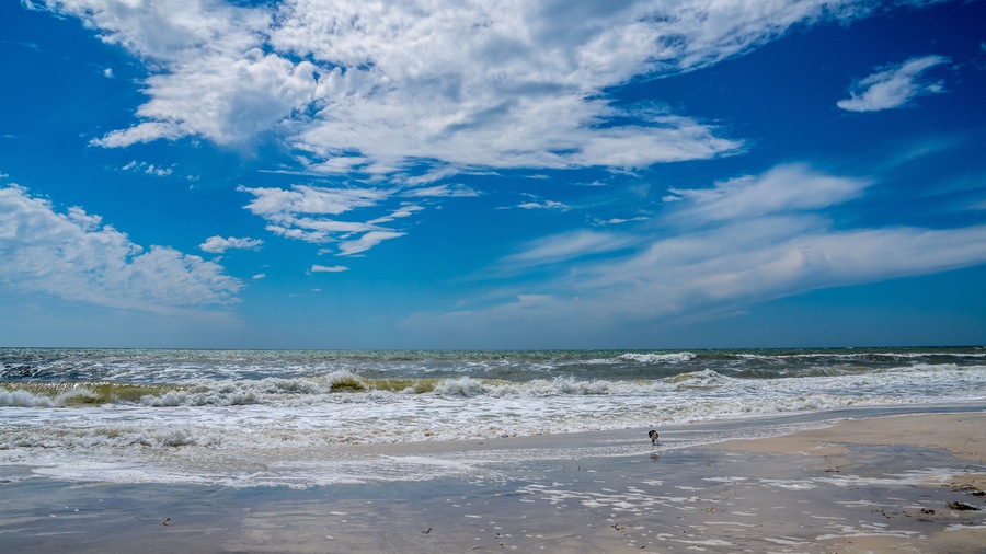 The beach on a barrier island in the Gulf of Mexico