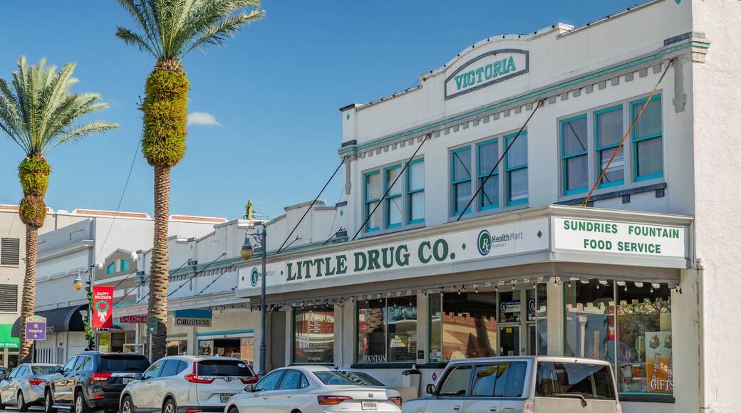 Canal Street Historic District showing signage