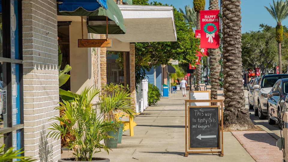 Canal Street Historic District which includes signage