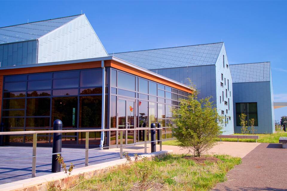 A modern building with large glass windows, a metal roof, and a small tree in the foreground.