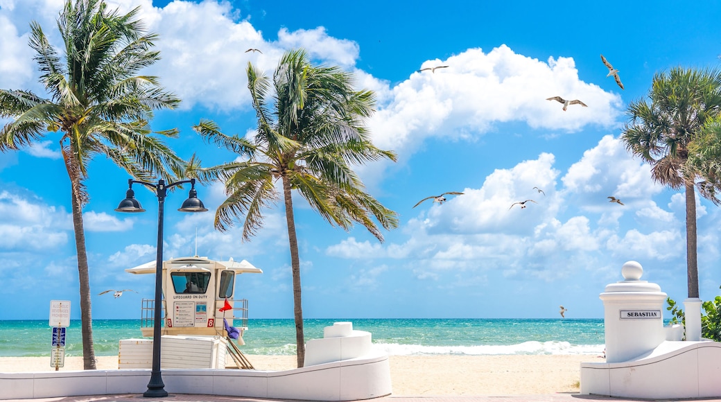 Sebastian Street Beach