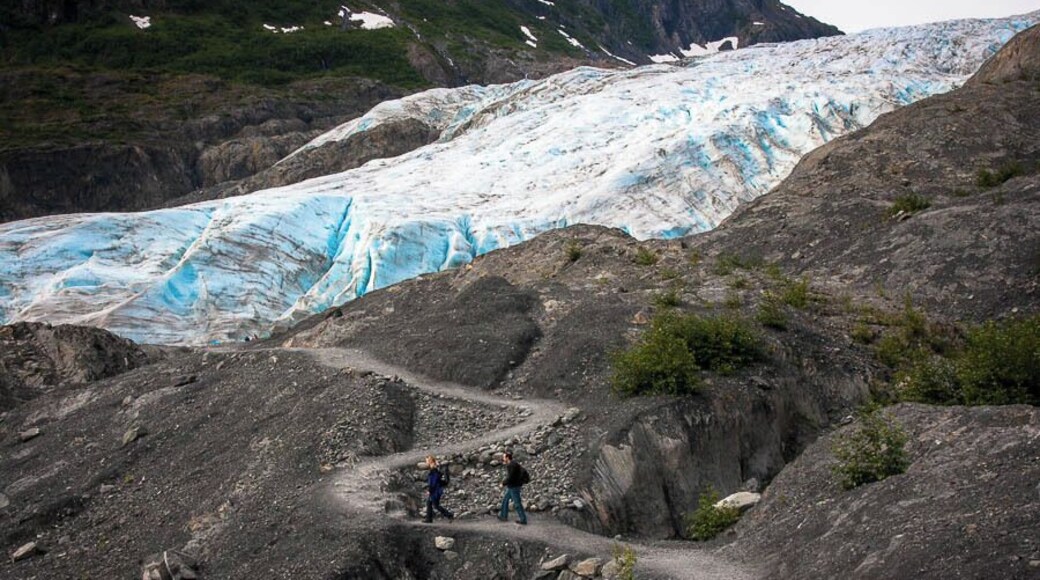As we hiked closer to Exit Glacier in Alaska's Kenai Fjords National Park I become aware of the enormity of this sheet of ice that has carved out the valley and the river behind us. Signposts marking how far the glacier has receded point to how fragile the glacial ecosystem is.You can't help but be awed by what a glacier and a few thousand years can do to a landscape. #NationalPark http://casualtravelist.com/blog/kenai-fjords-national-park/