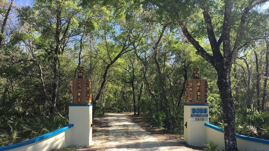 “A cool place for cool people”
Bob’s River Place where kids and adults have been coming for over 40 years. This is not a water park it’s a swimming hole along the Swannee River. Bob who still sits out there with us helping us sit on the rope swings correctly. There are 2 slides and a lot of river fun for all river ages. Even the little kids like to go on the bigger rope swings.
Come for sun come for fun.. #swimmingholes #river #fun #kids