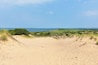 Sentier dans les dunes Walking Dunes Trailhead