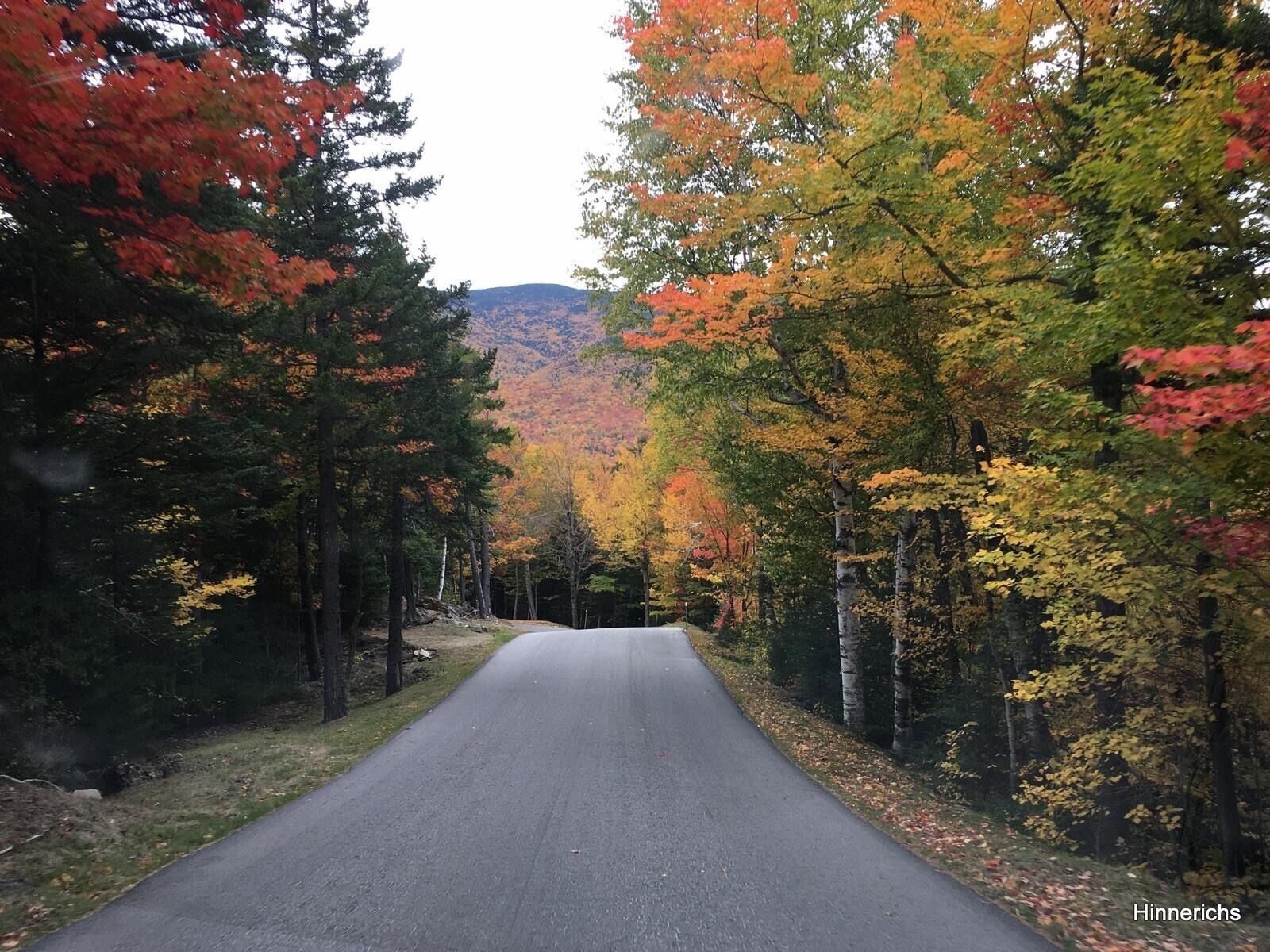 On the Mt Washington road in October
