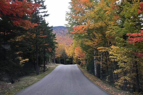 On the Mt Washington road in October