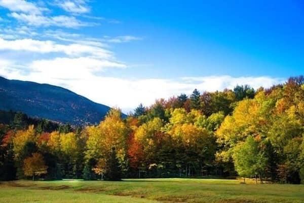A landscape with autumn-colored trees, a grassy field, and a mountain in the background.