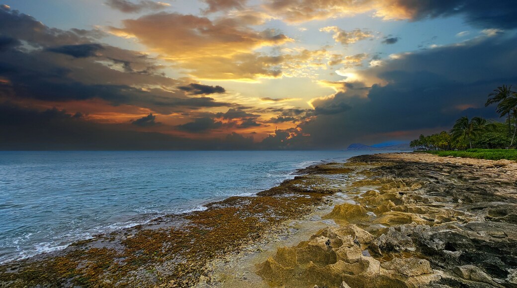 Ka Makana Ali'i - The Center for West Oahu
