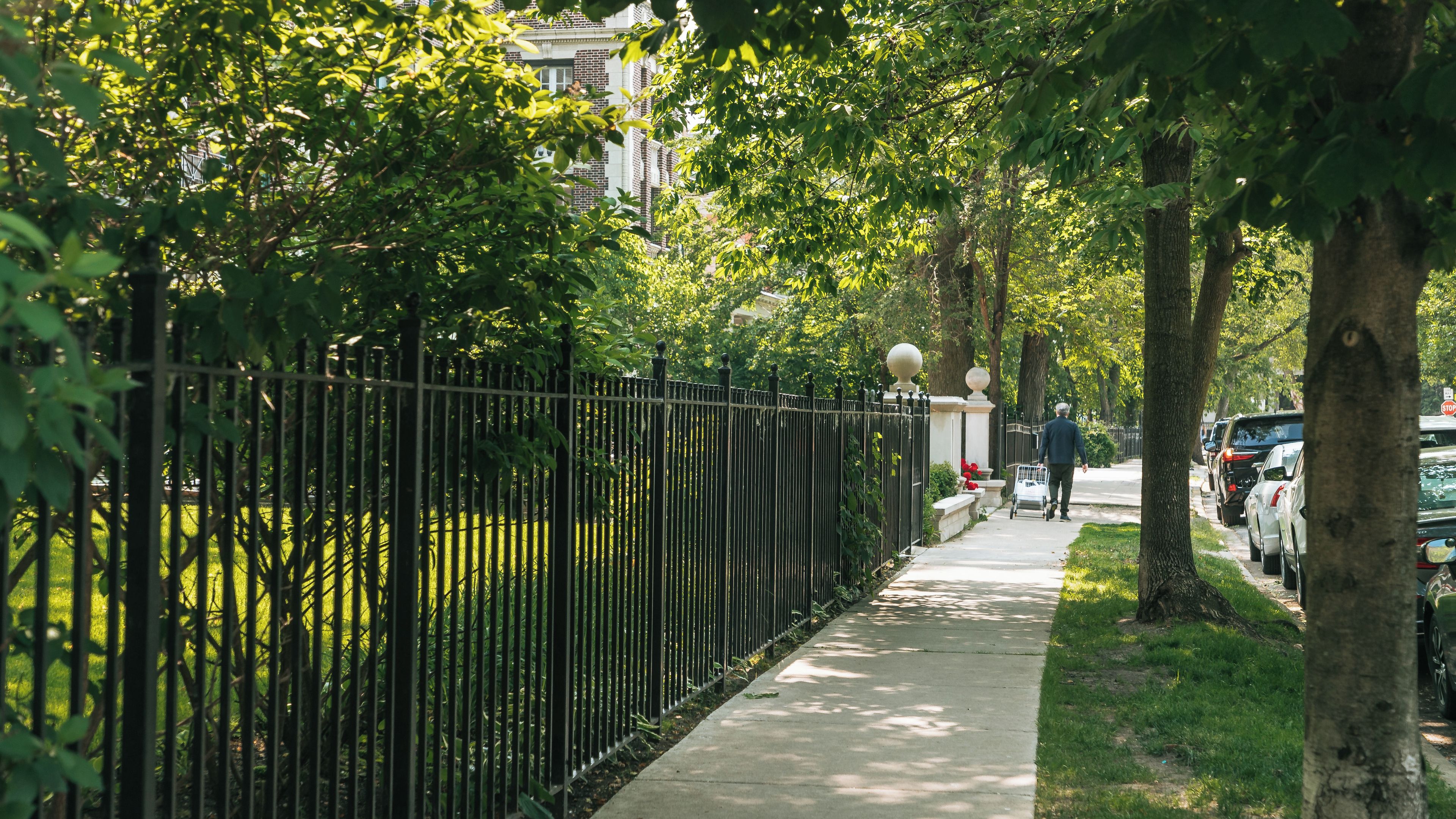 A tree-lined sidewalk with a metal fence, parked cars, and a person walking.