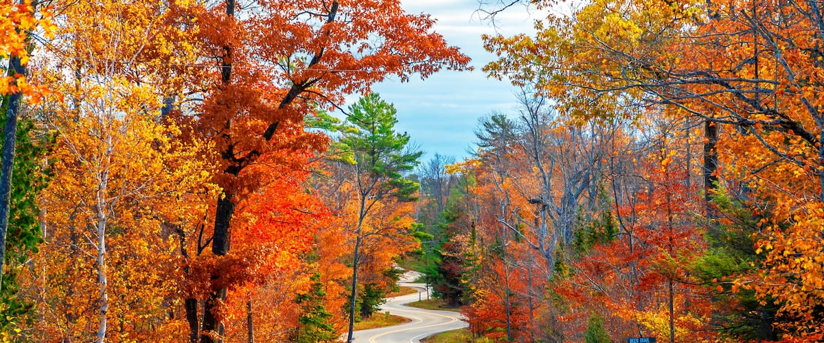 A Road at Autumn in Door County of Wisconsin