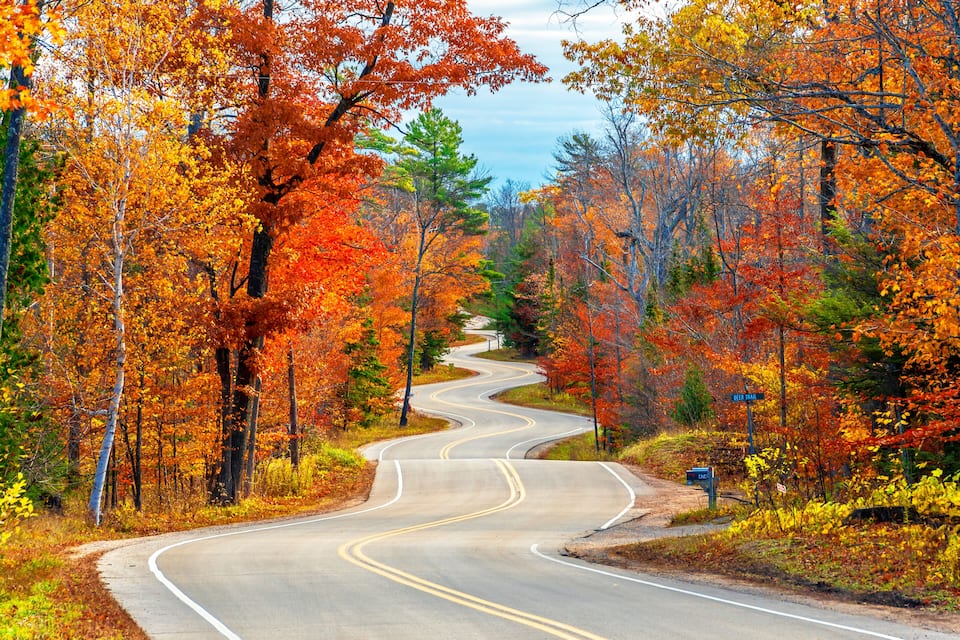 A winding road through a forest with autumn-colored trees.