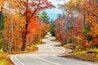 A Road at Autumn in Door County of Wisconsin