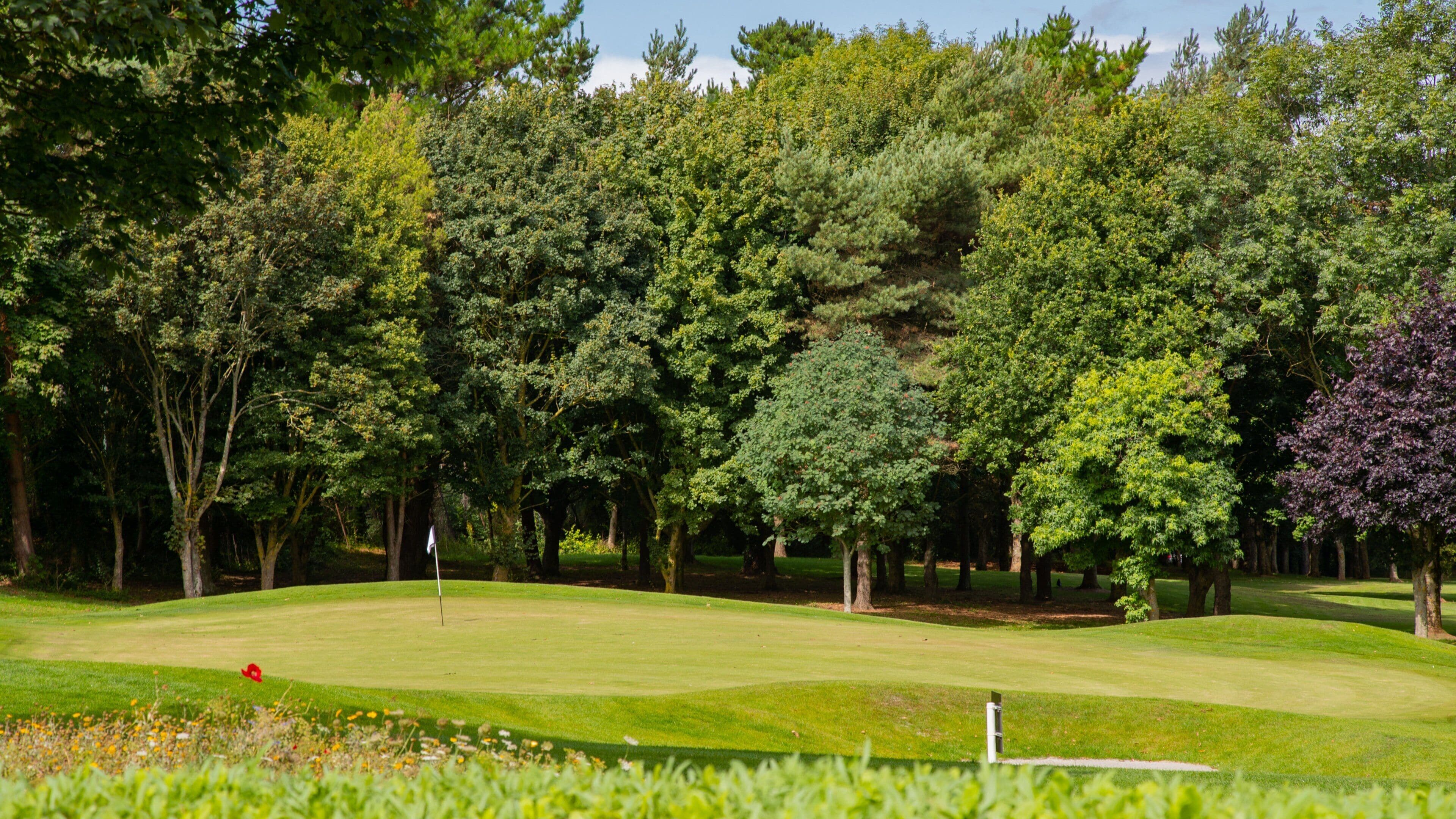 Torquay Golf Club which includes golf
