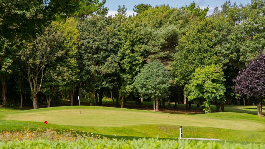 Torquay Golf Club which includes golf