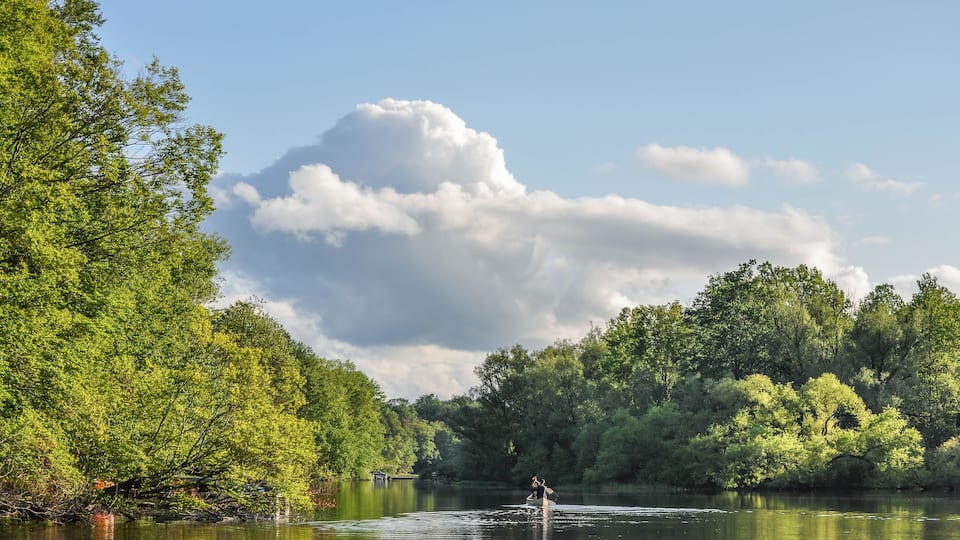 A person wakeboarding on a calm lake surrounded by dense green trees.