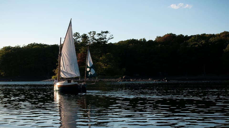 A sailboat on calm water with a forested shoreline in the background.