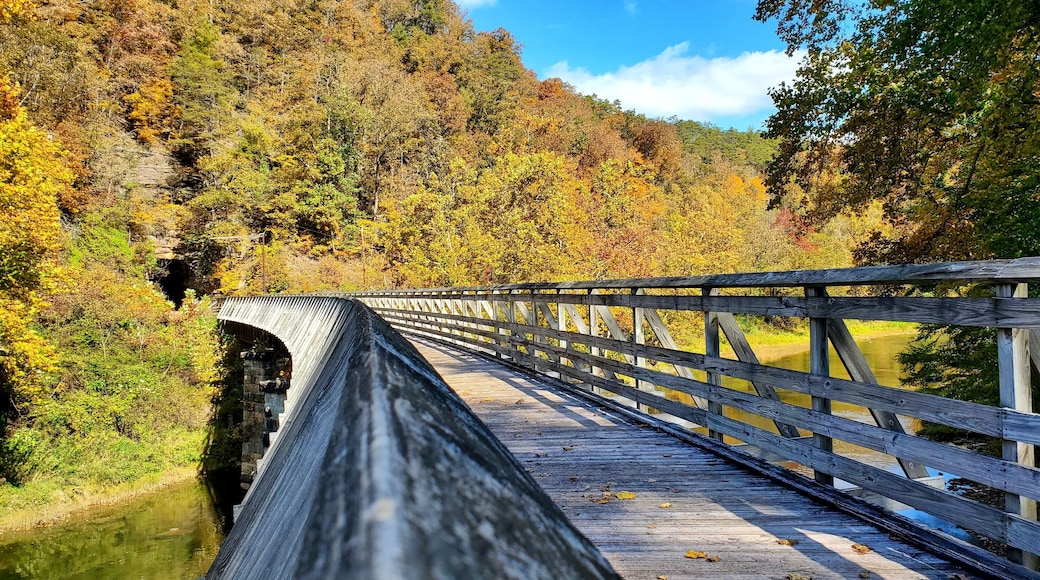 Sharp's Tunnel Bridge on the Greenbrier River Trail, West Virginia