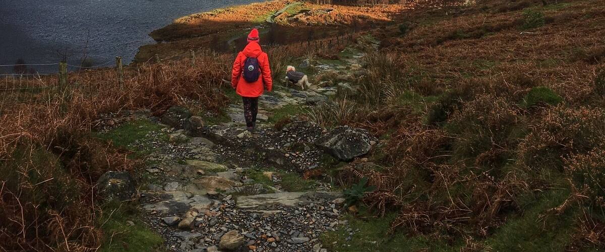 Walking down to Llyn Dinas
