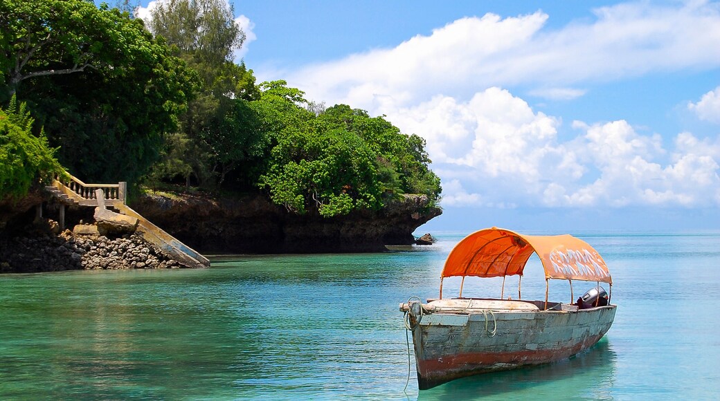 Boat near Chumbe Island - Zanzibar - Tanzania