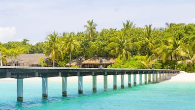 Fonimagoodhoo island