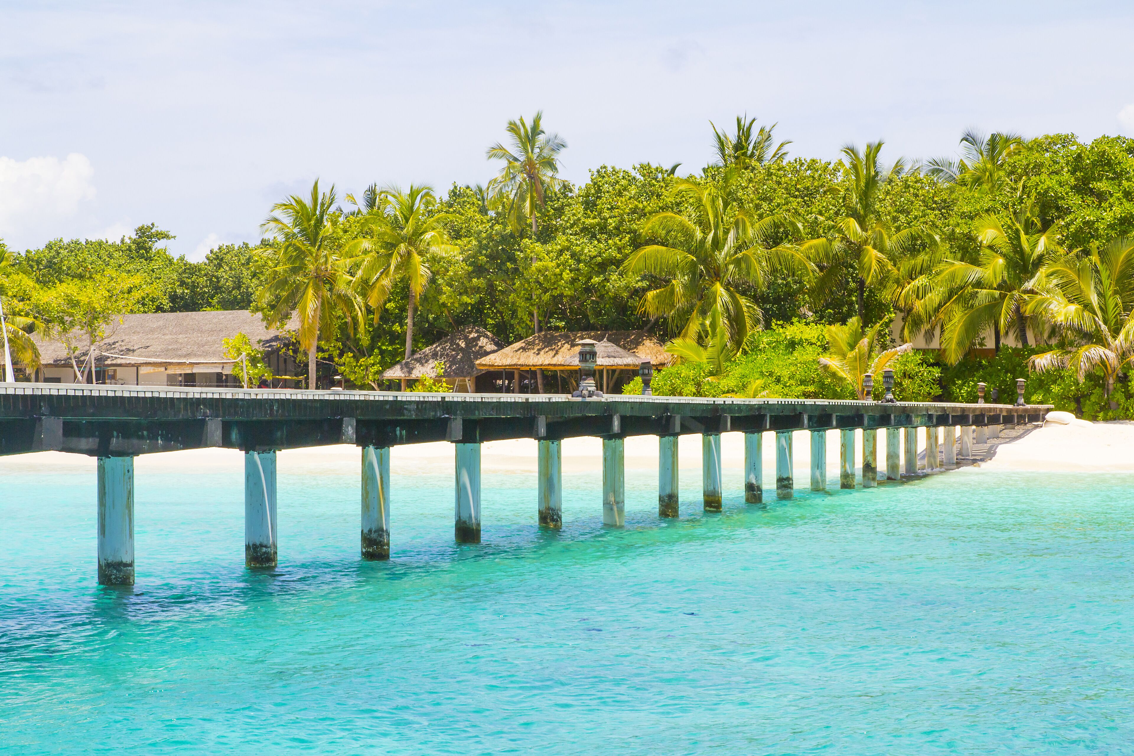 A pier extending into turquoise water, surrounded by lush greenery and palm trees.