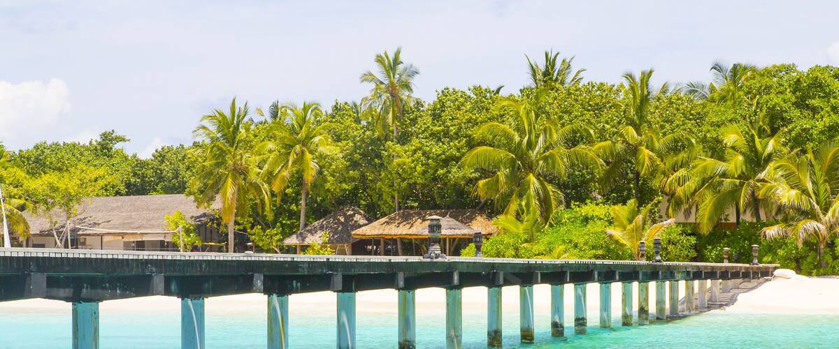 A pier extending into turquoise water, surrounded by lush greenery and palm trees.