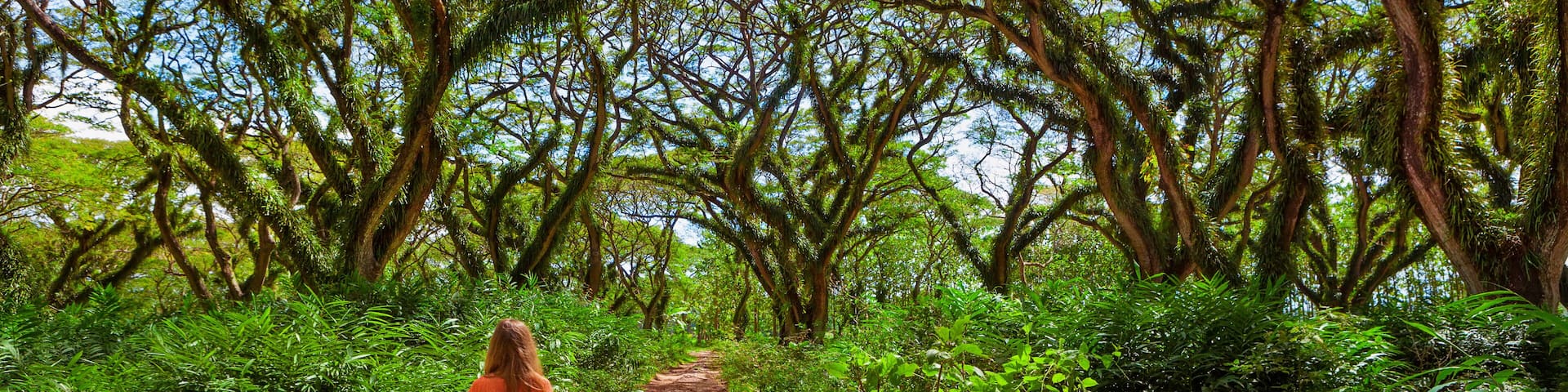 A forested path with a woman and two children walking.