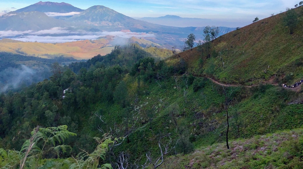 Can you see the trail to Ijen Crater. It’s quite a steep hike to get up to the crater. Took us 1.5 hours to get to the top in the dark at around 2am