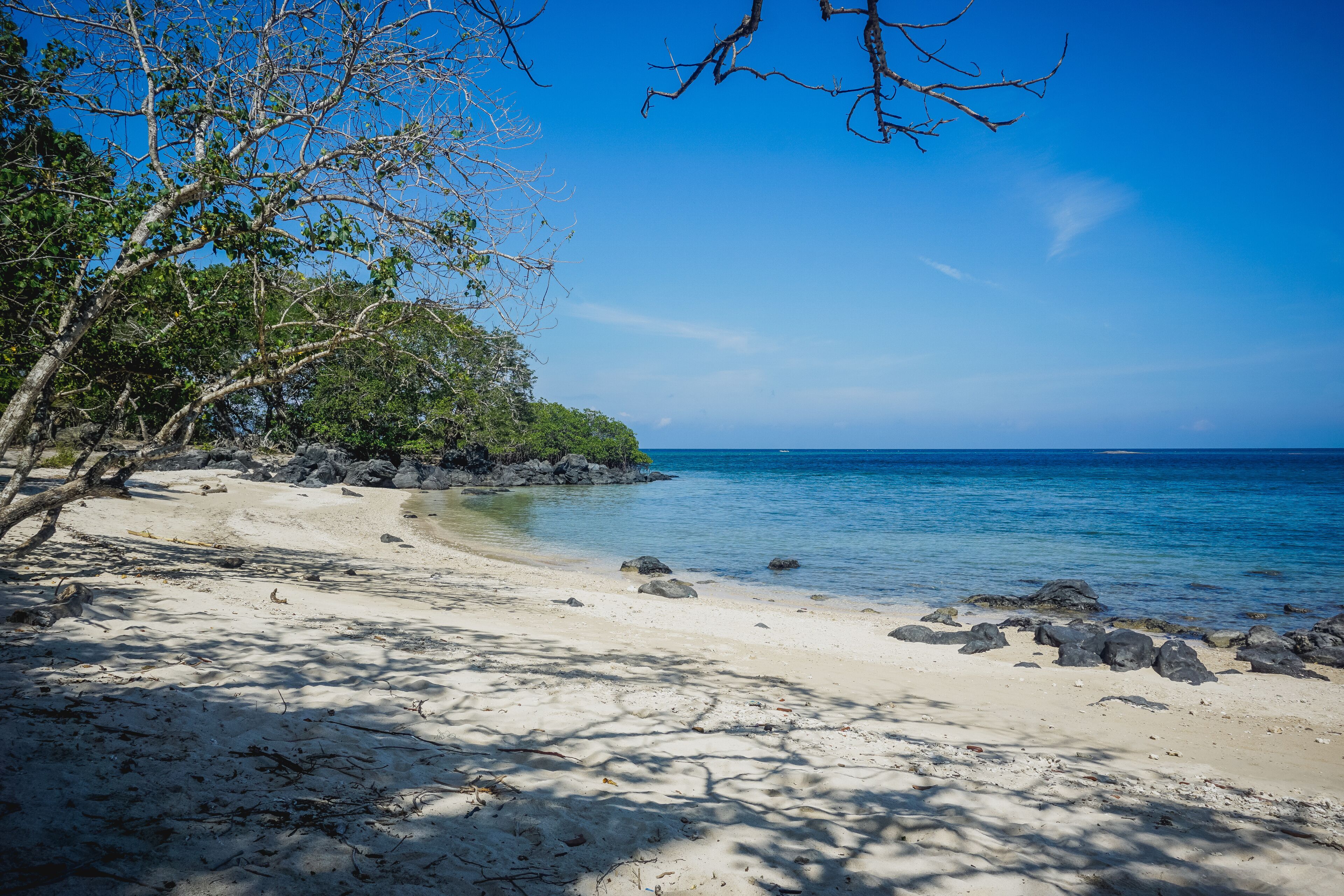 Tropical Bama Beach in Baluran Park