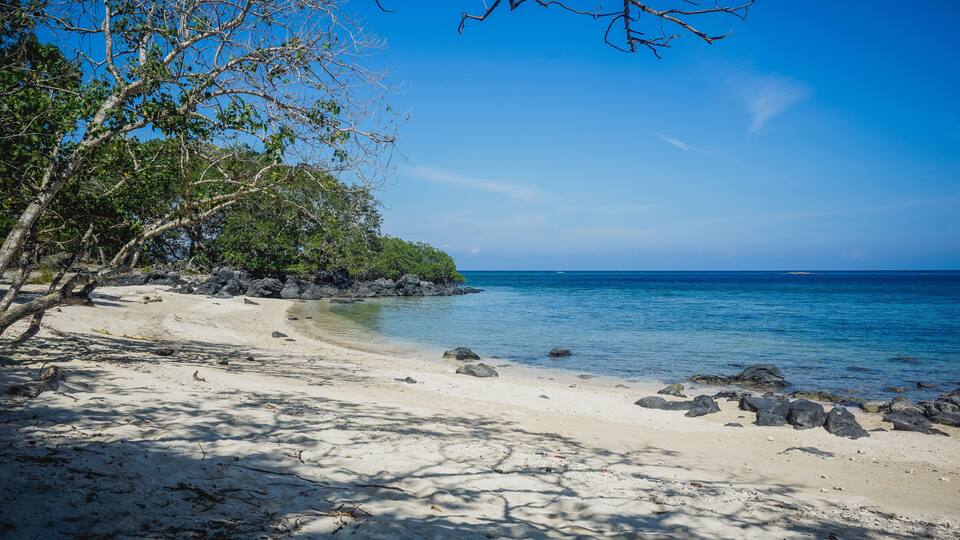 A sandy beach with clear blue water, rocky outcrops, and dense green foliage.
