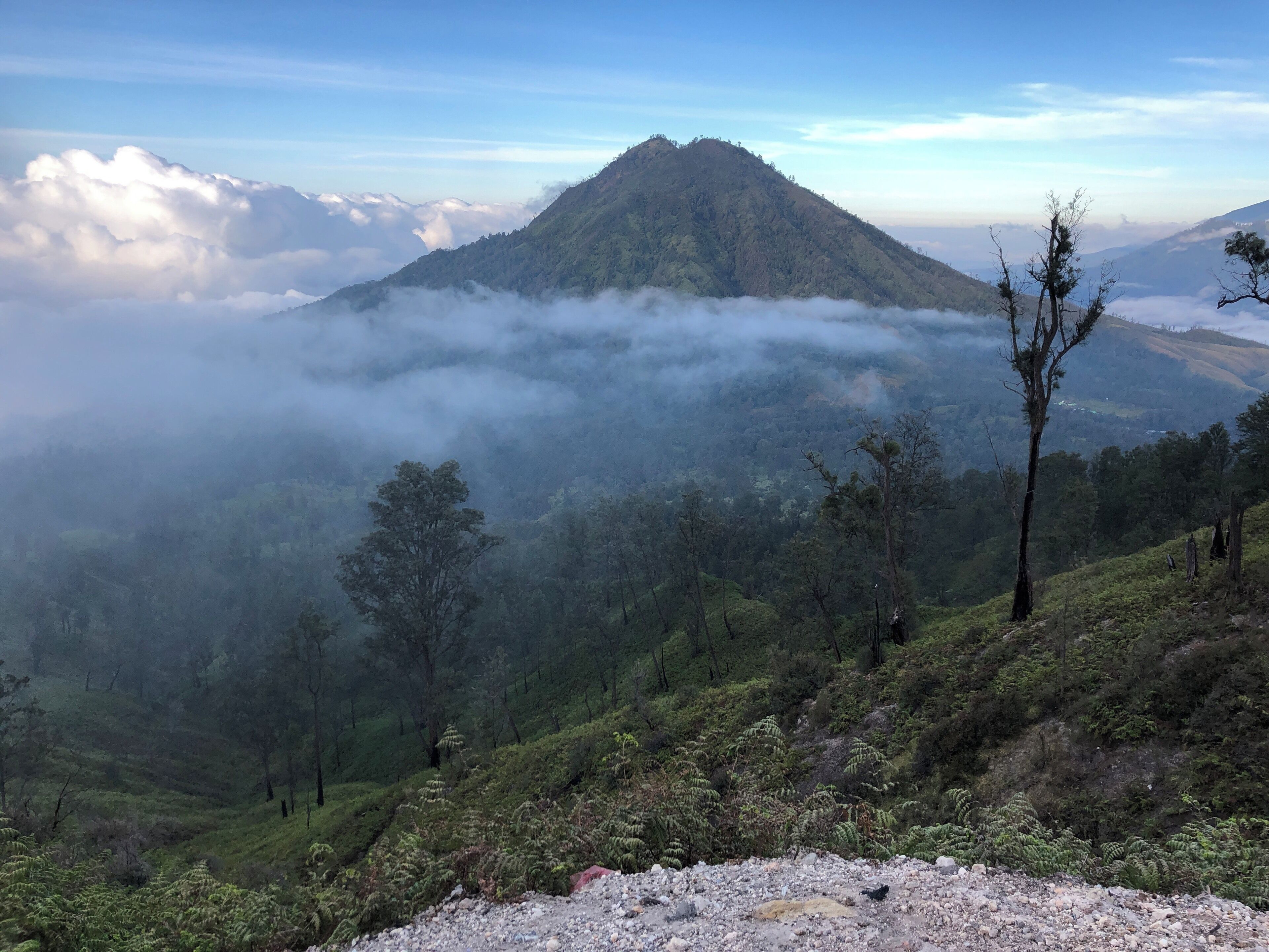 On the way down from Mt Ijen after sunrise. Nice sea of clouds over the mountains