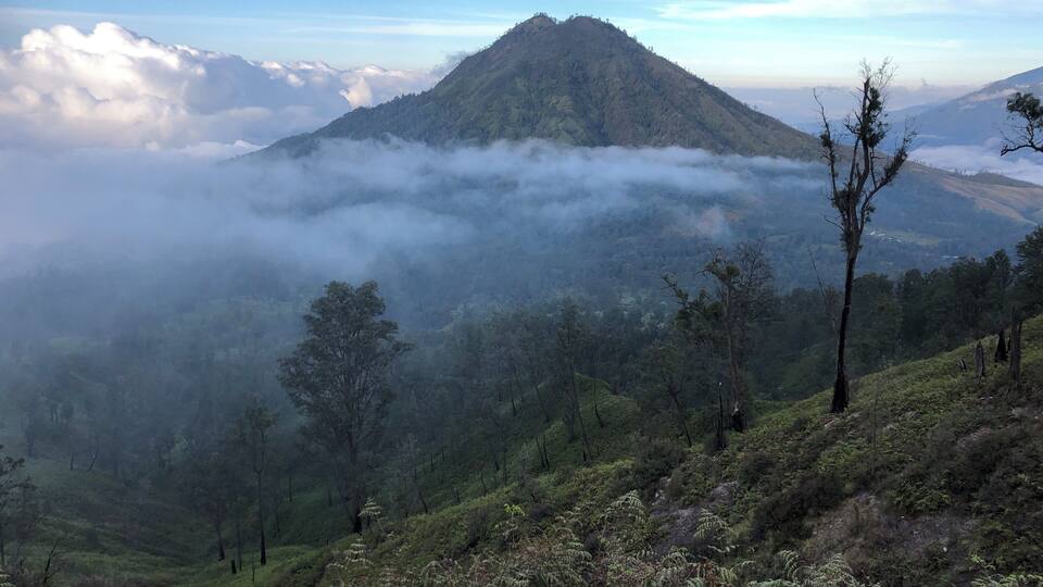 A mountain with a forested base and a cloud-covered peak.