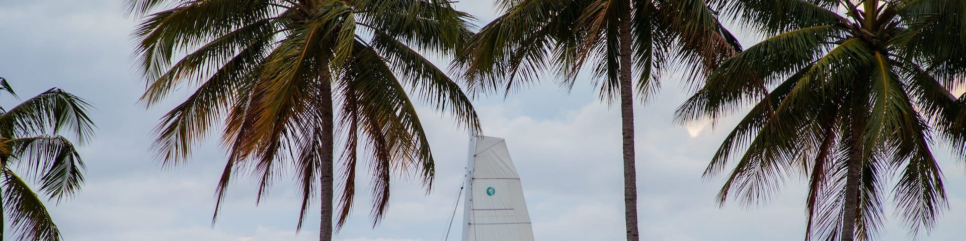 A sailboat on calm waters with palm trees and mountains in the background.