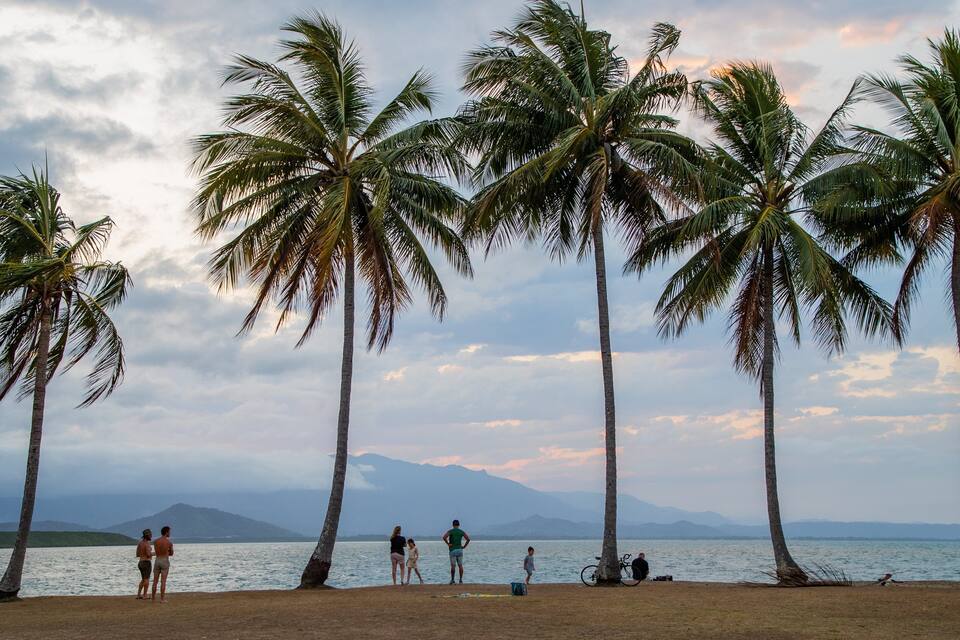 Een strand met palmbomen en bergen op de achtergrond.