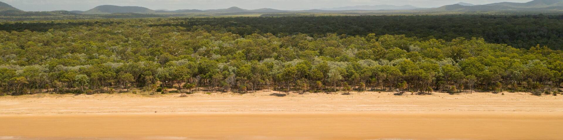 Eurimbula National Park showing general coastal views, a sandy beach and landscape views