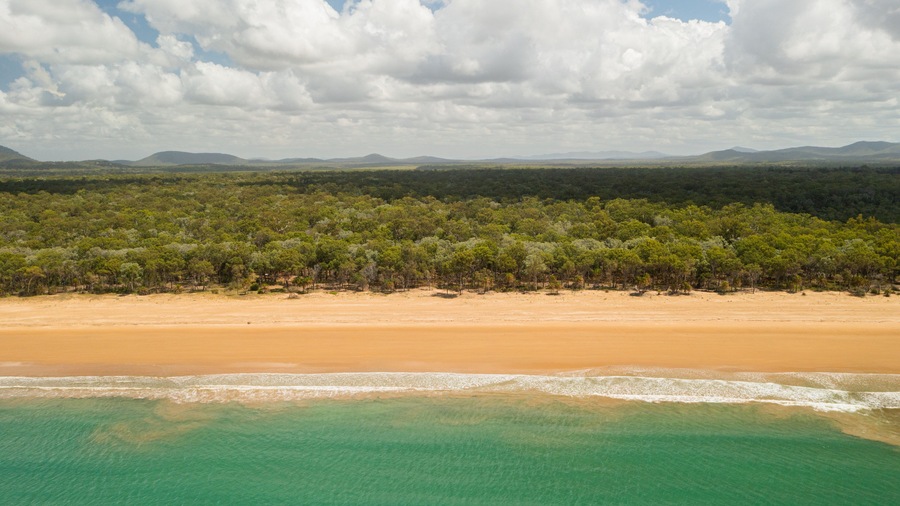 Eurimbula National Park showing general coastal views, a sandy beach and landscape views