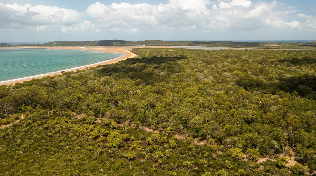 Eurimbula National Park featuring general coastal views and landscape views