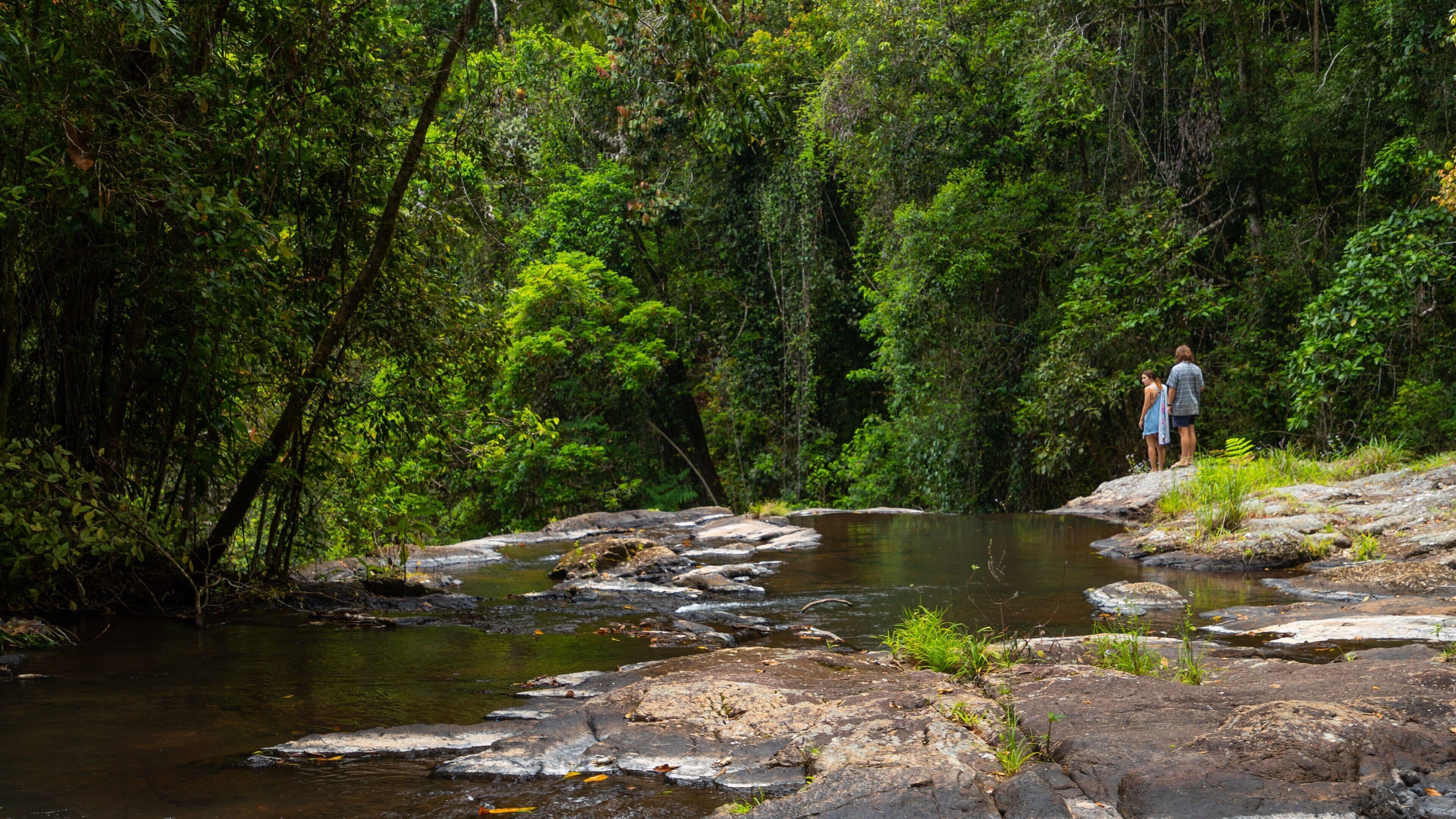 Mount Hypipamee National Park which includes a river or creek and forest scenes as well as a couple